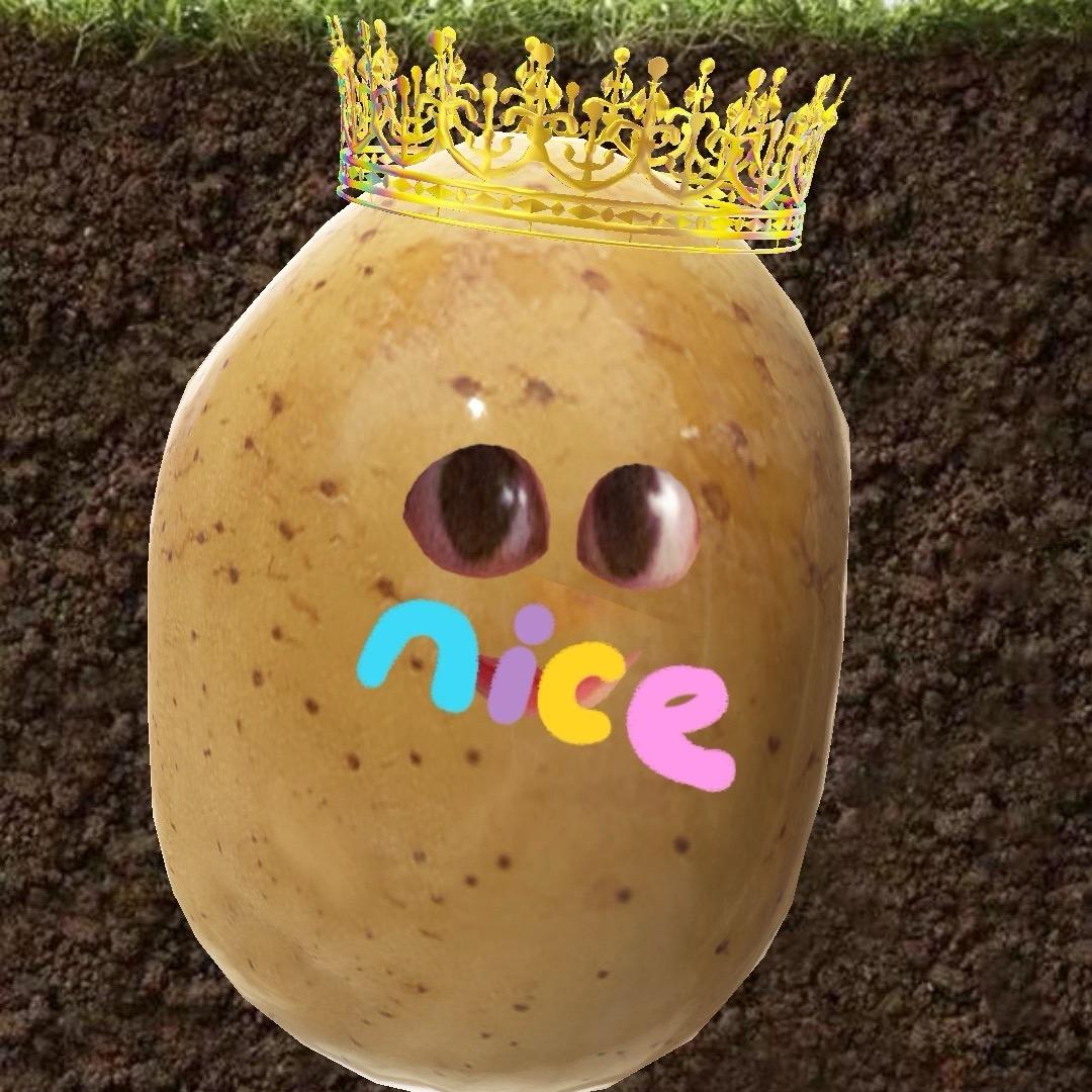 土豆儿🥔