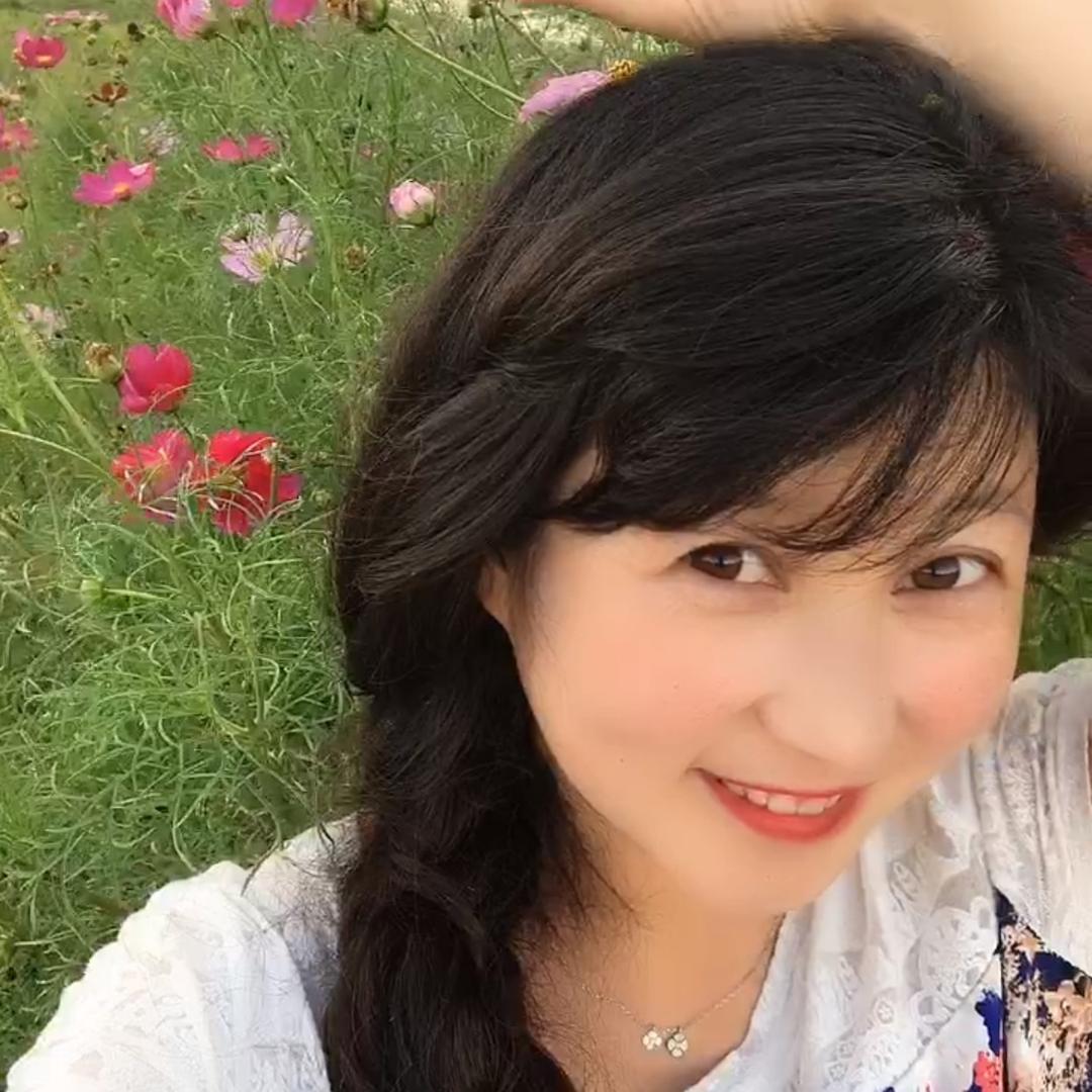 向阳花