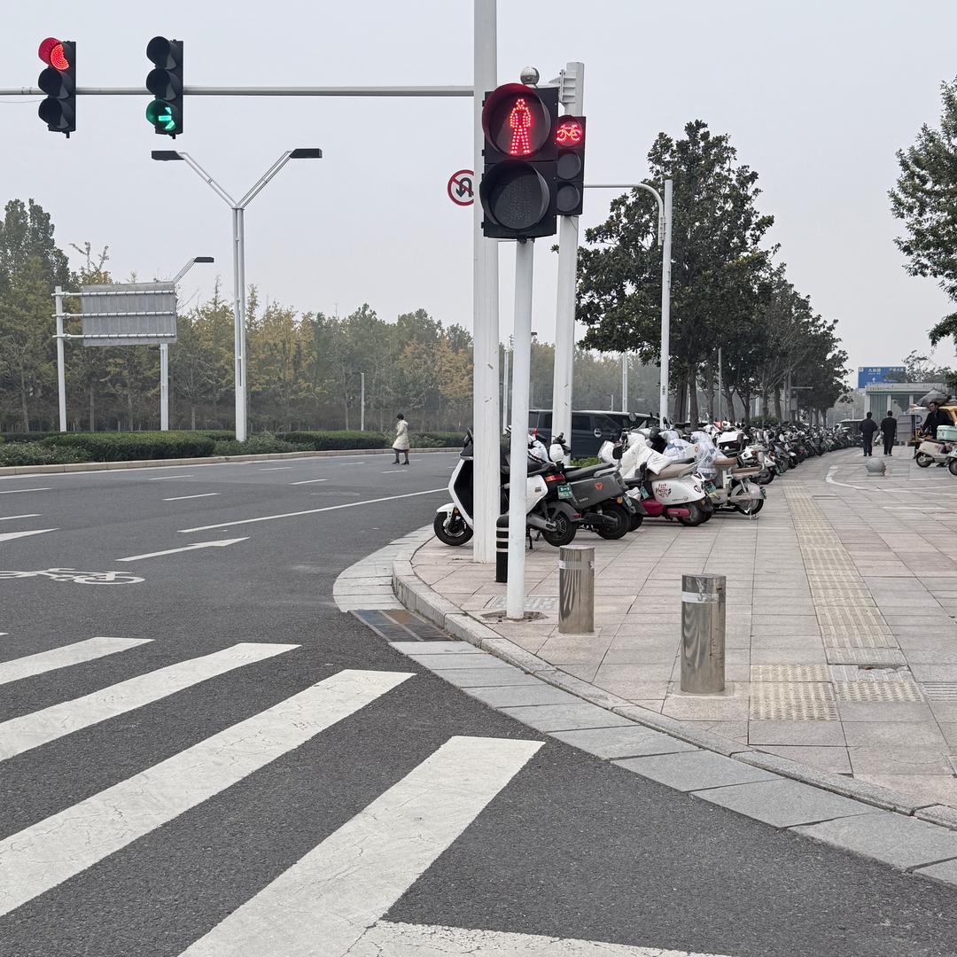 就爱说实话的楠楠