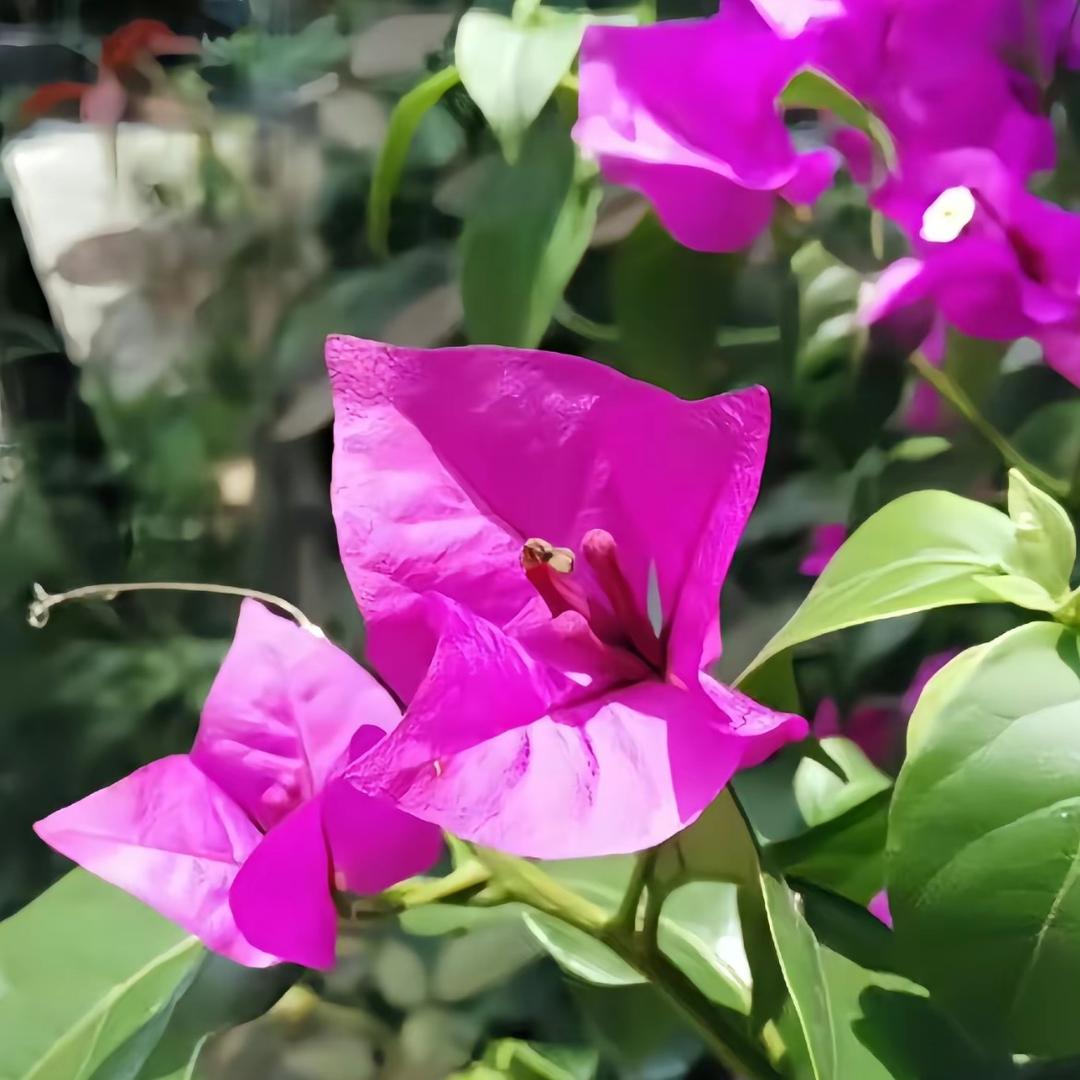 善仁珠宝