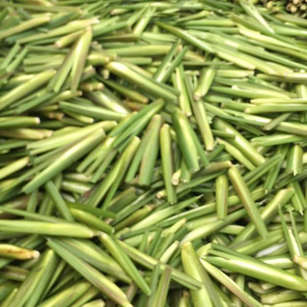 磐安茭白蔬菜茄子