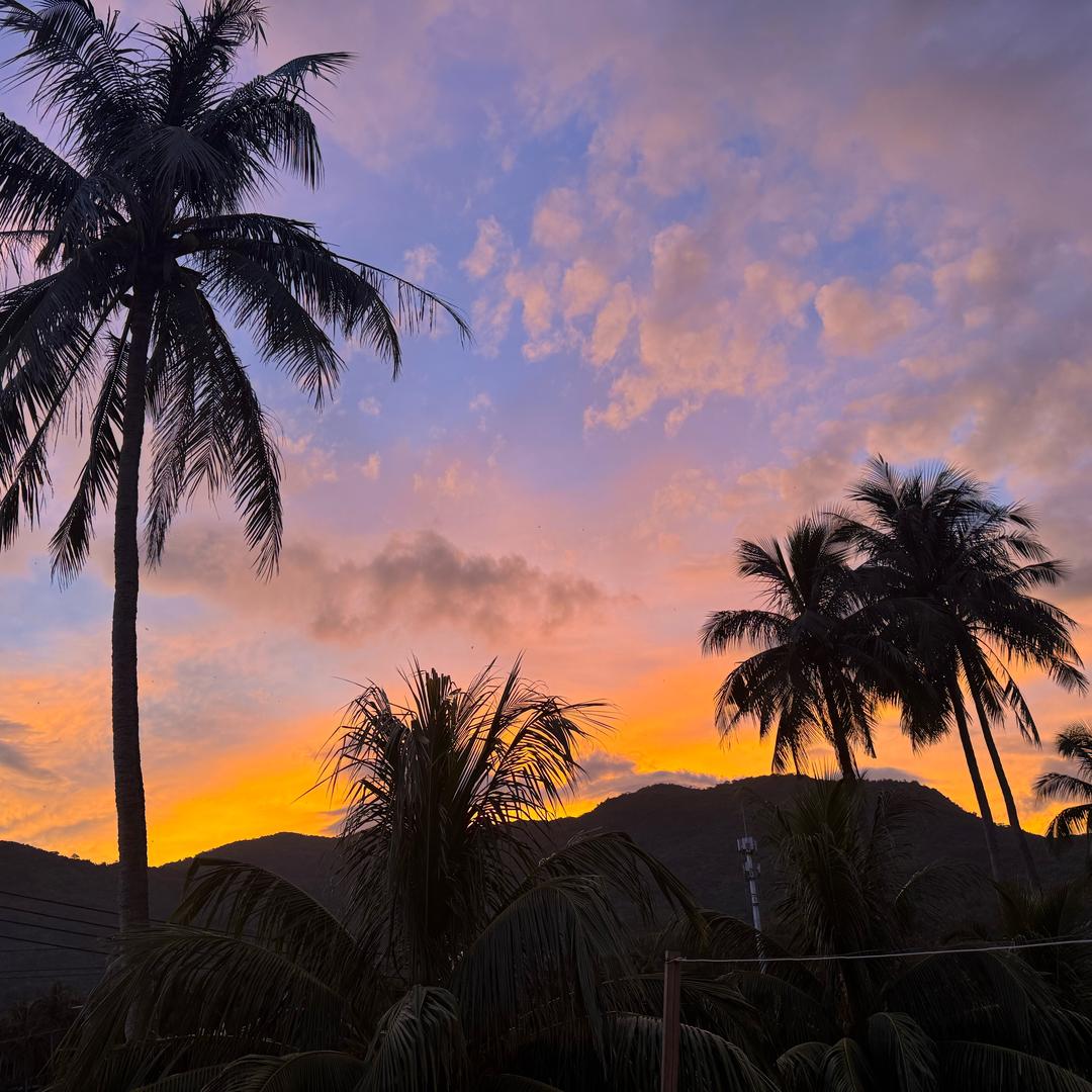 设计师中的路亚佬