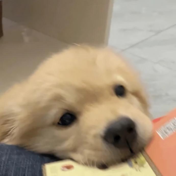 小孟爱唱歌