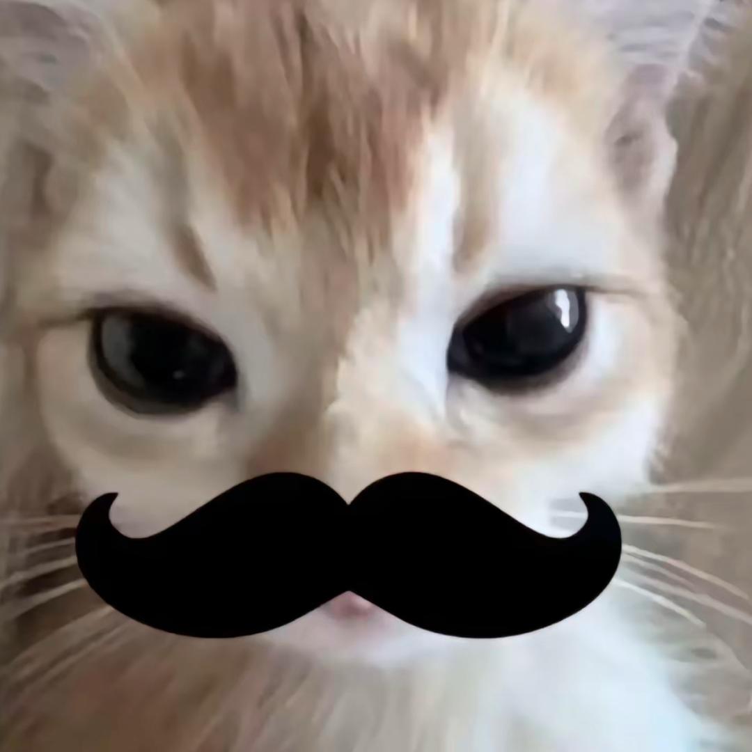 小仅¿
