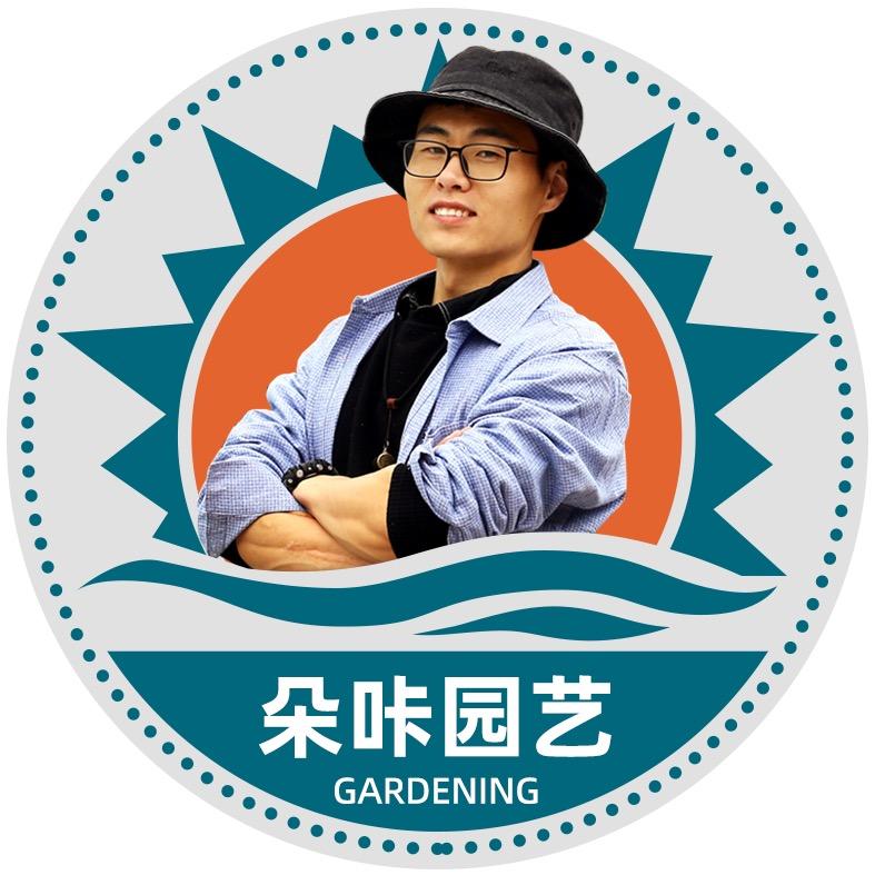 朵咔园艺绿植旗舰店@抖音