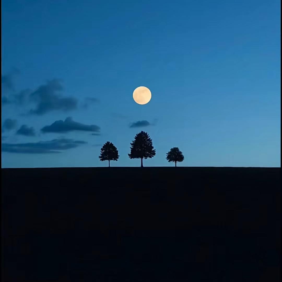 盈