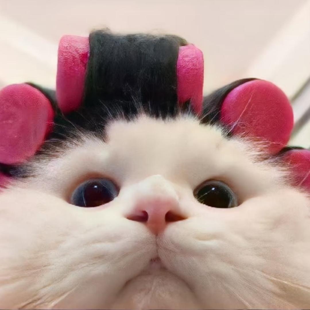 富贵不能停！