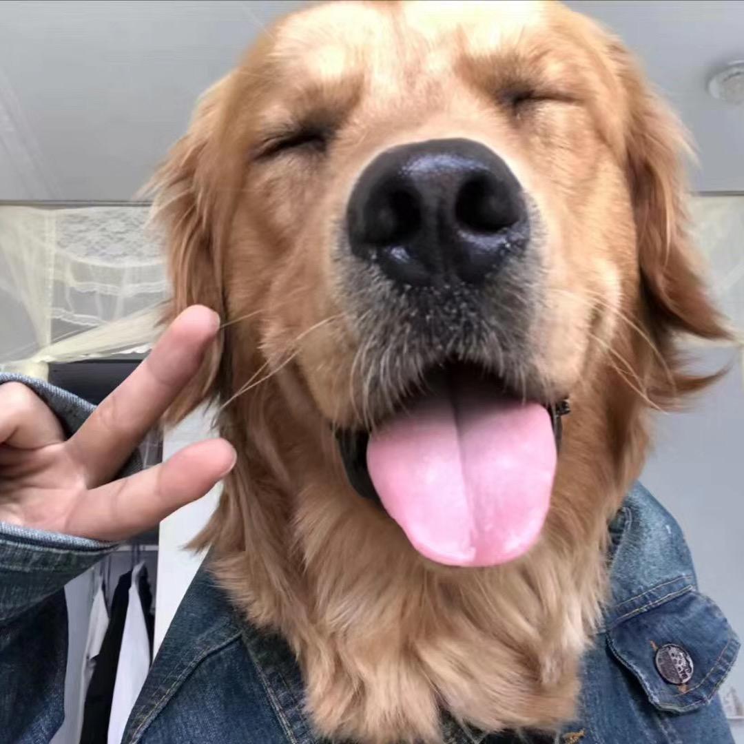 皮蛋与饲养员