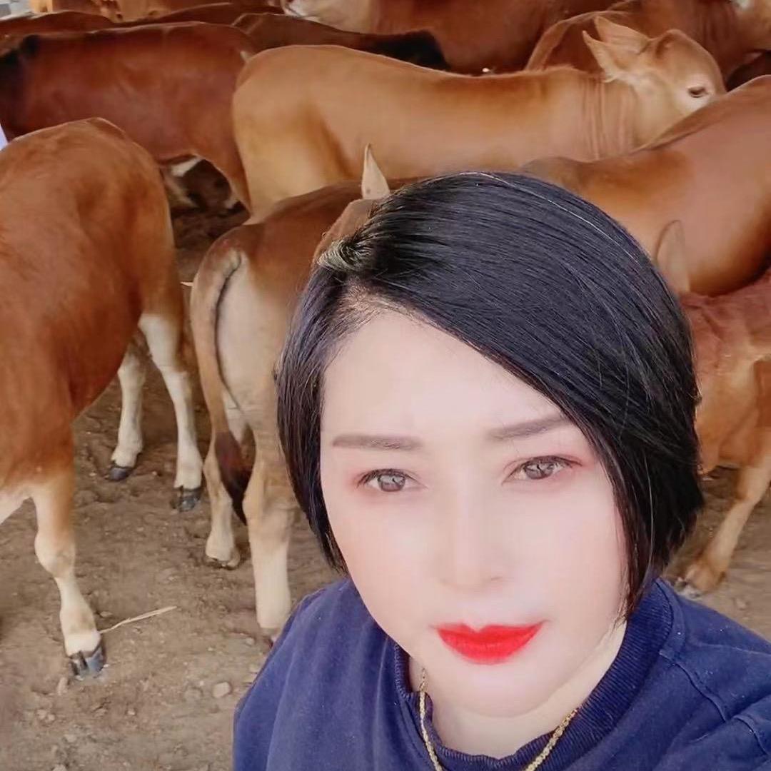 益大肉牛养殖场