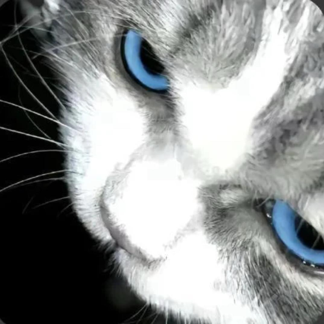 yyyyu
