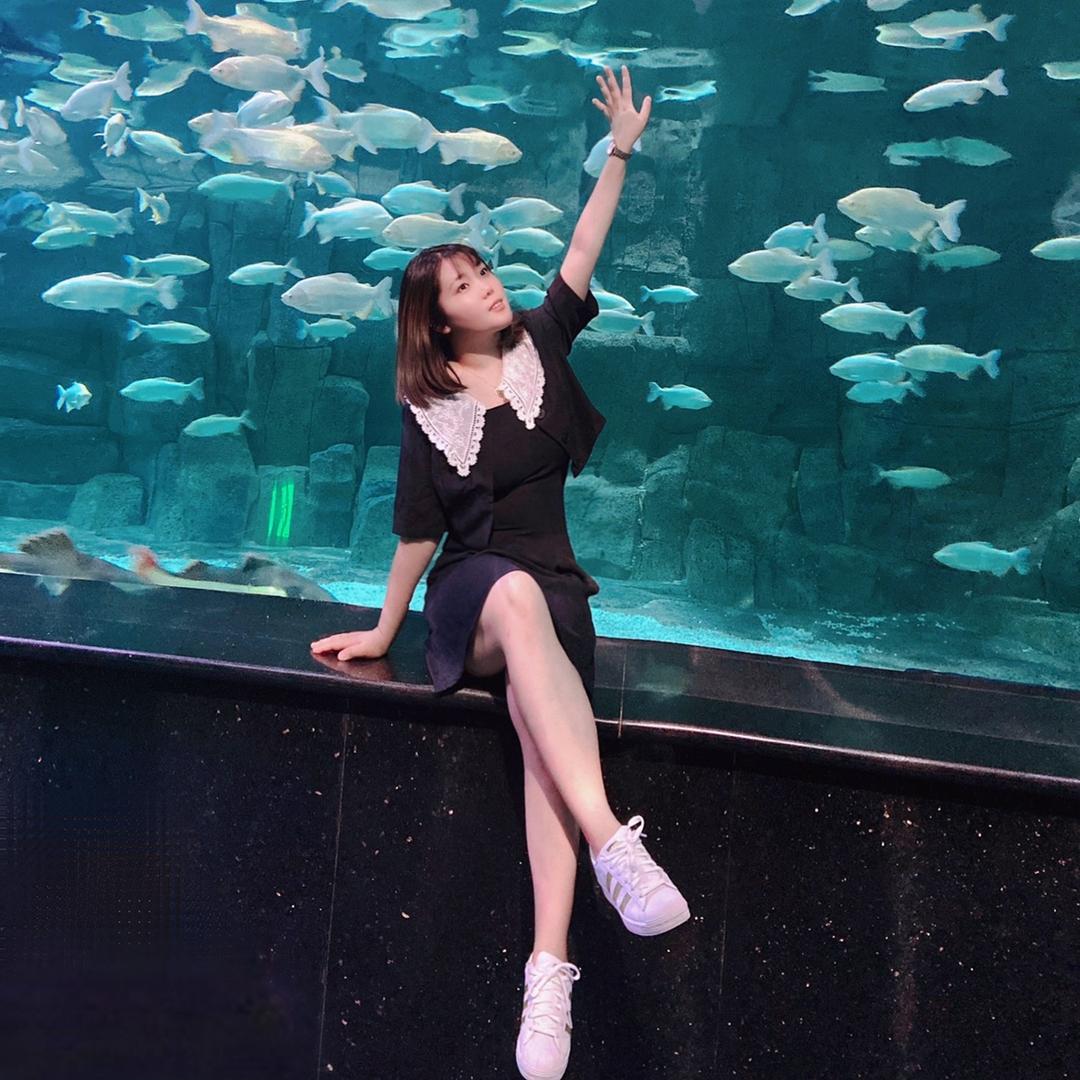 心安草
