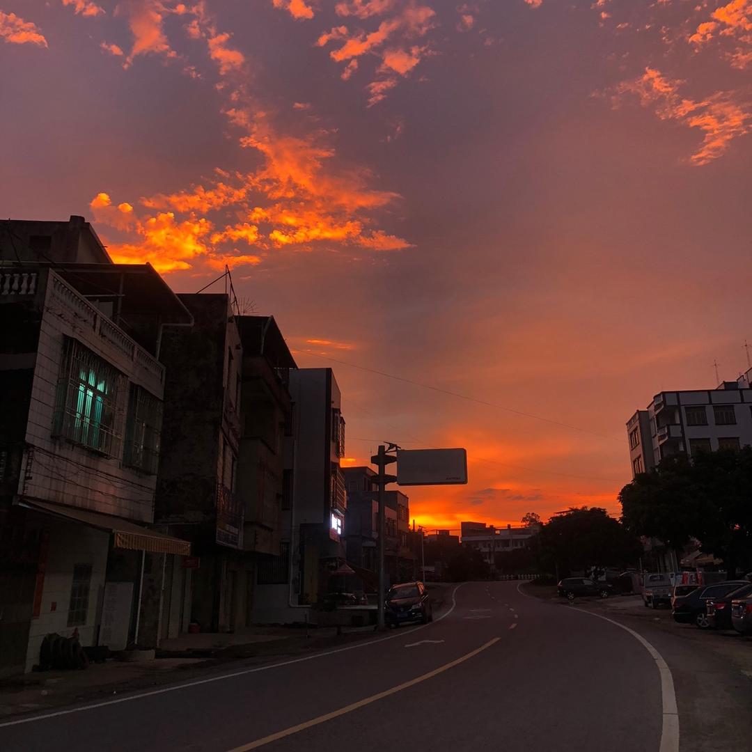 维维