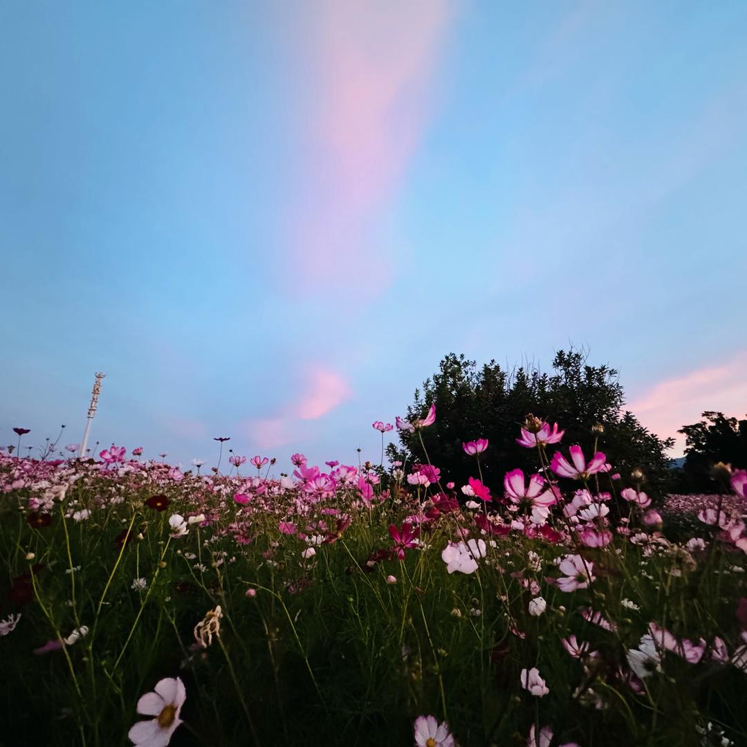 🍑🍓一路长虹～