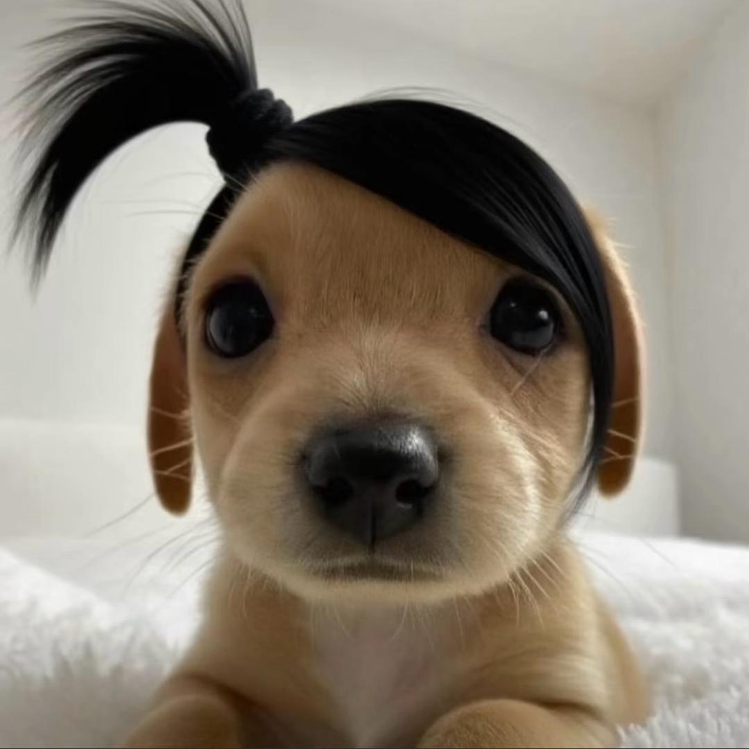 圈