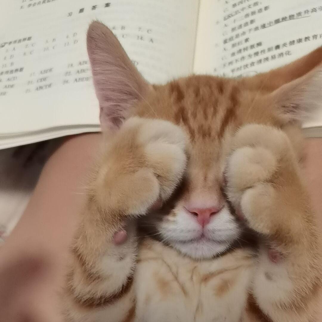 赤岭