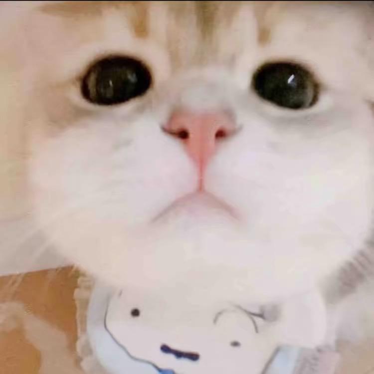小銘酱酱酱酱