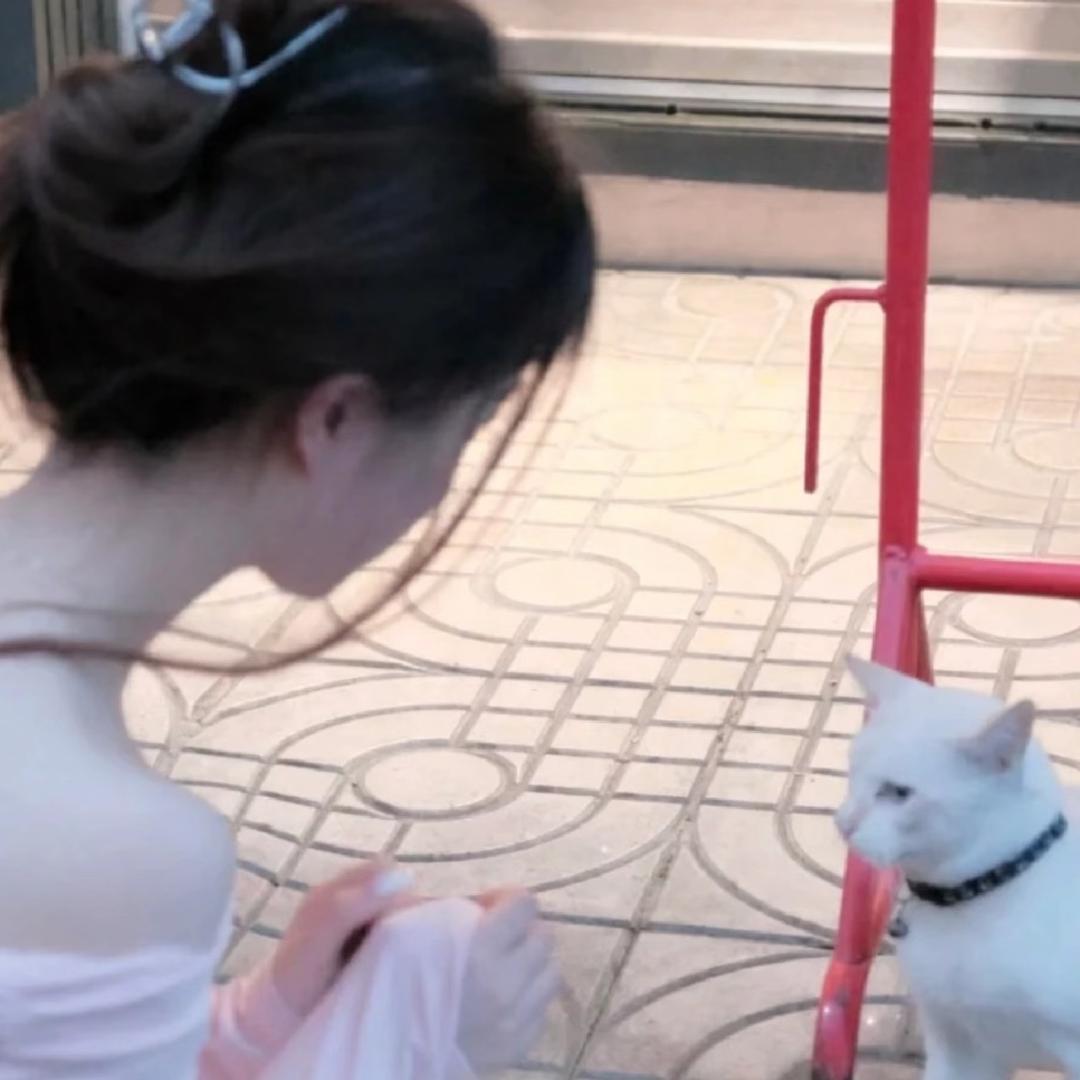 许何