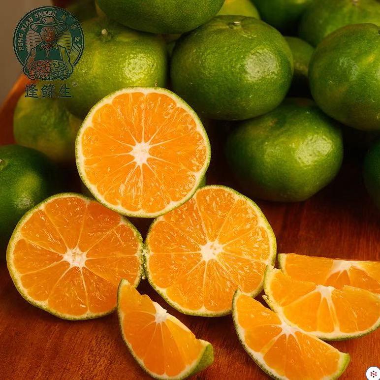 涌泉蜜橘！