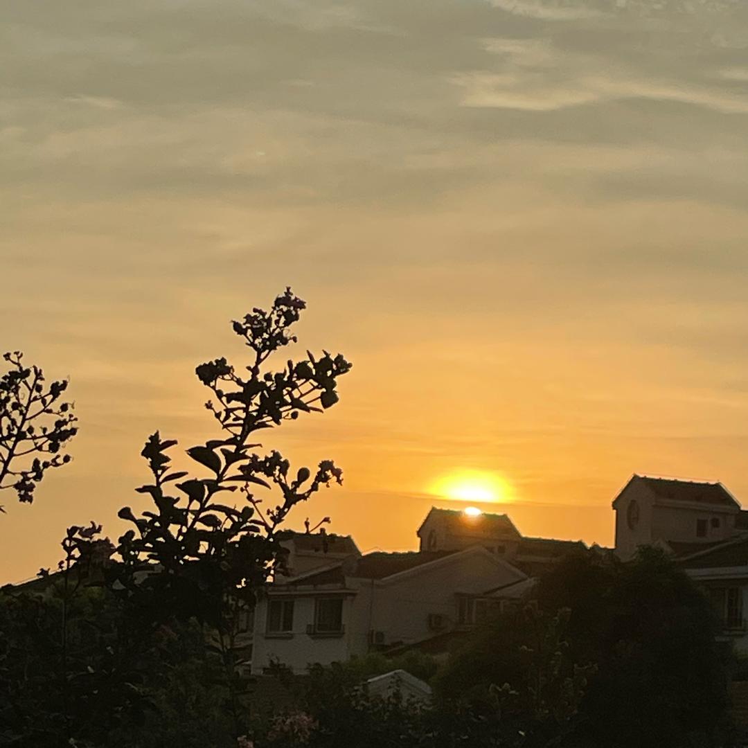 沈墨如烟