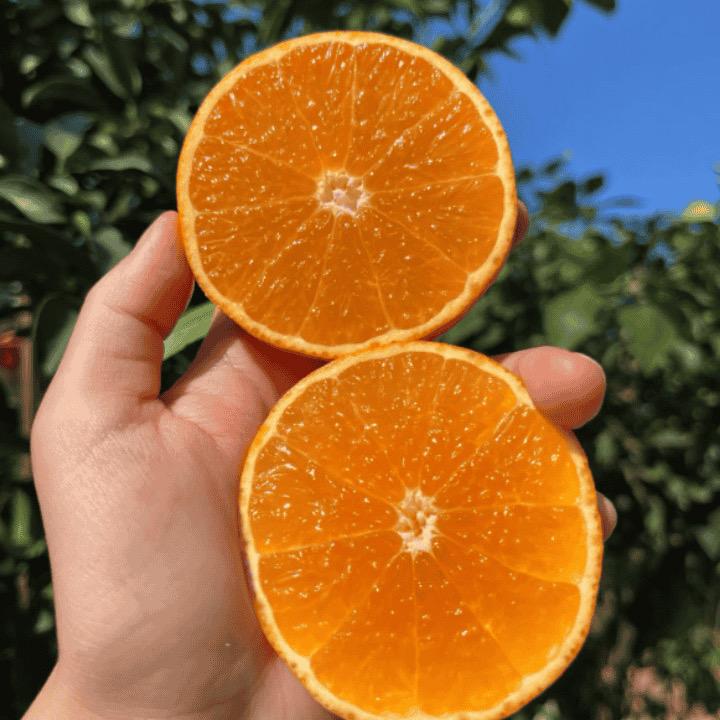 鲜行派生鲜