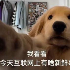 小太阳（照顾偏瘫公公版）