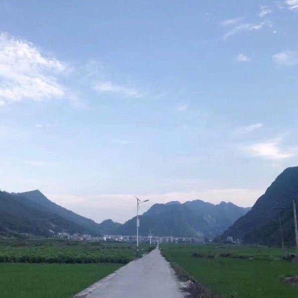 顺遂无忧