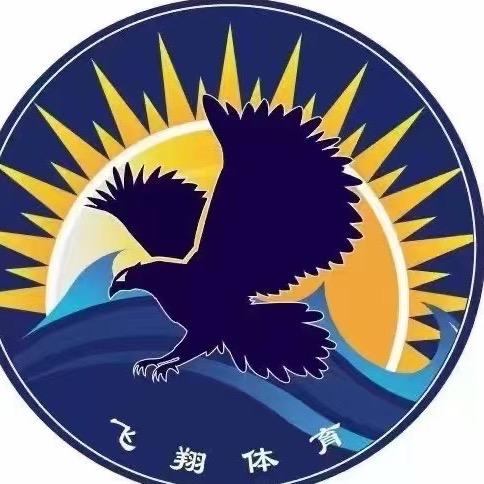 西安市飞翔体育