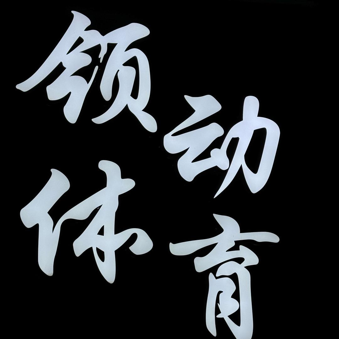 应城领动体育羽毛球🏸