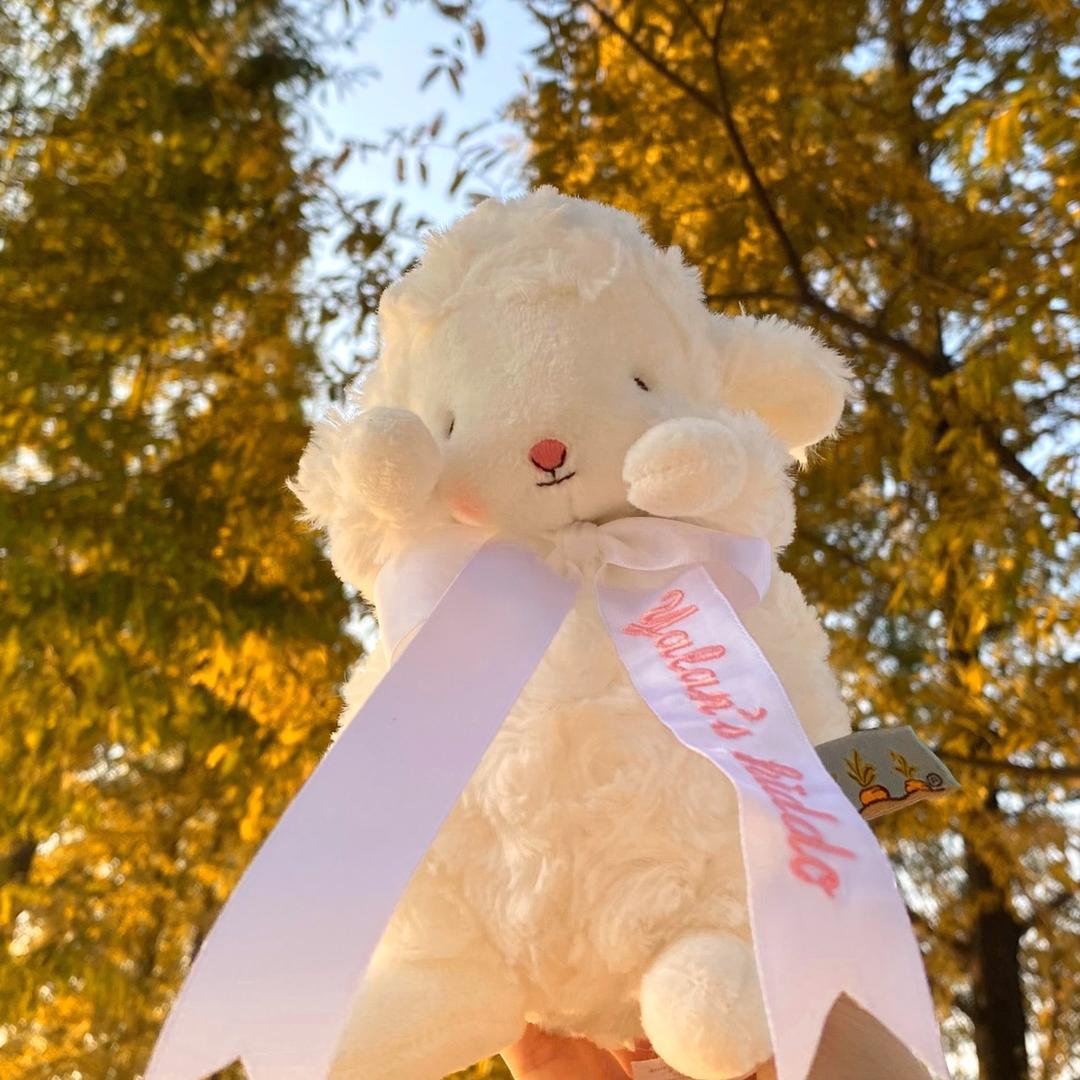 一只小羊羊🐑