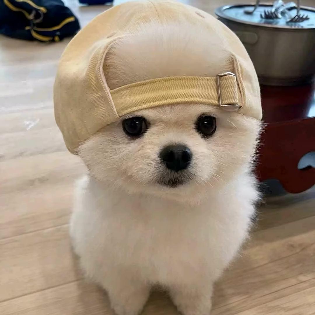 懒得说