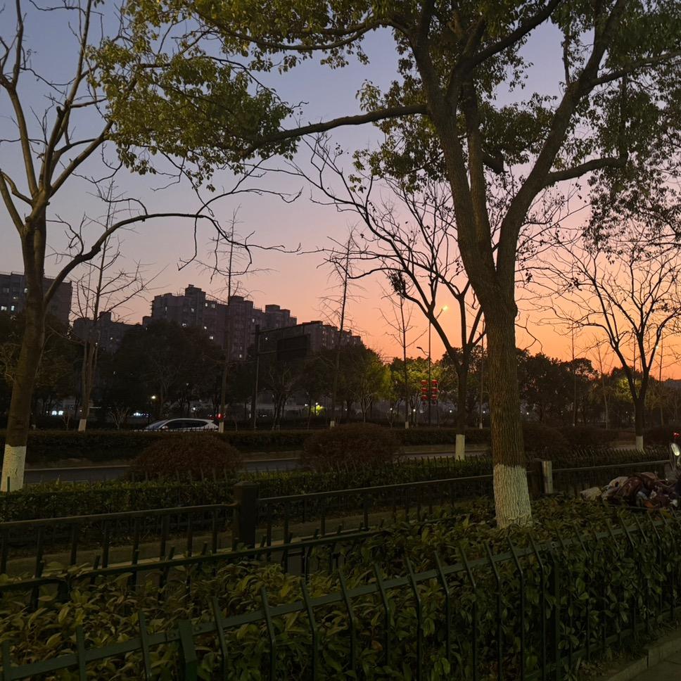 林感啊