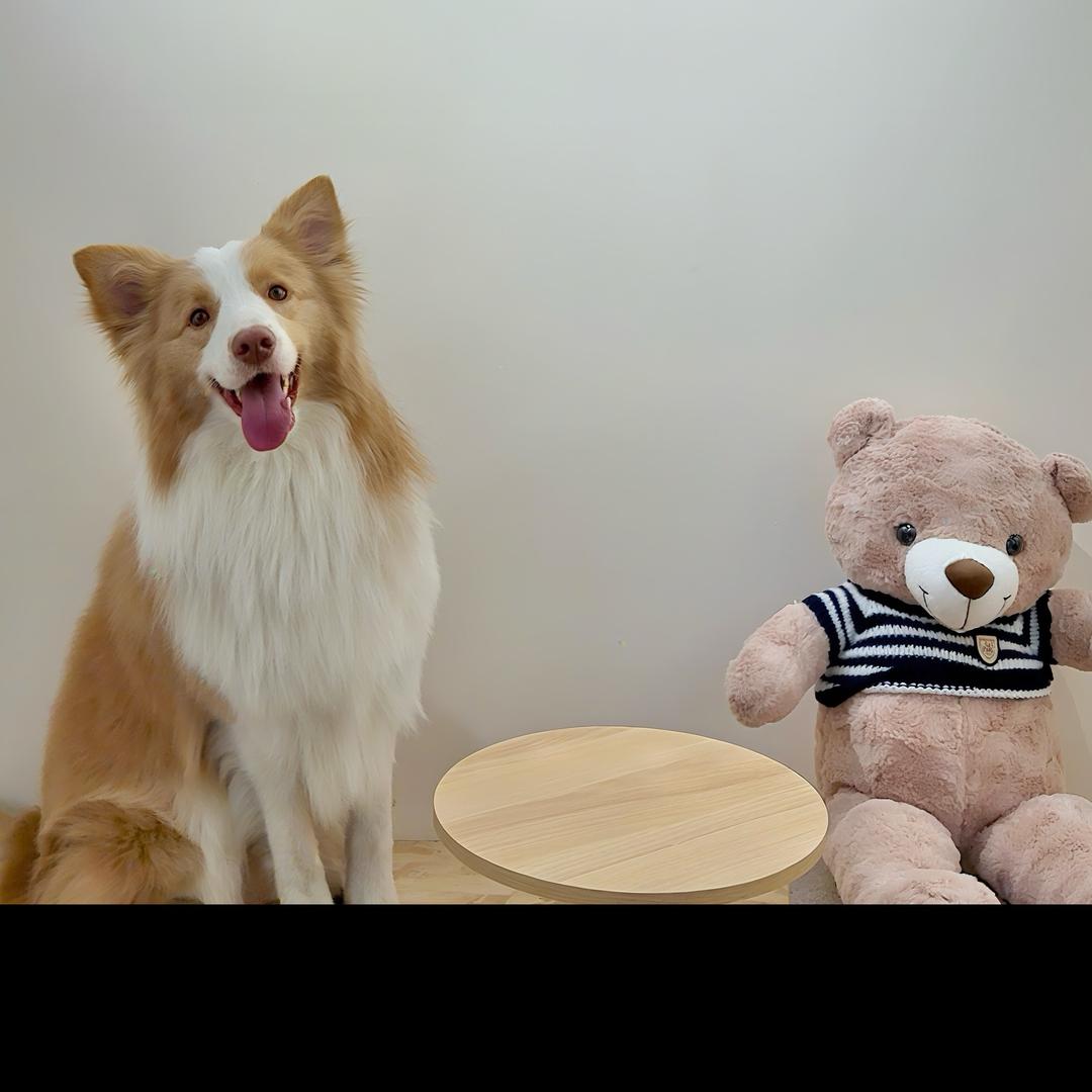 秋天雪糕星期六