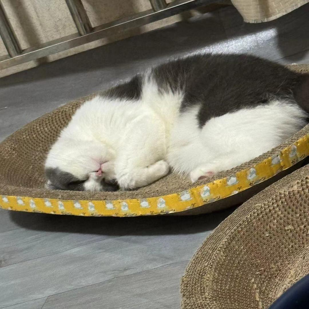 天下行宁波火车店吴