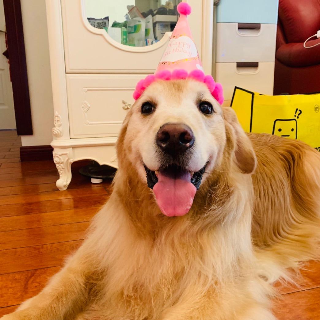 凯撒撒呀🐾💋