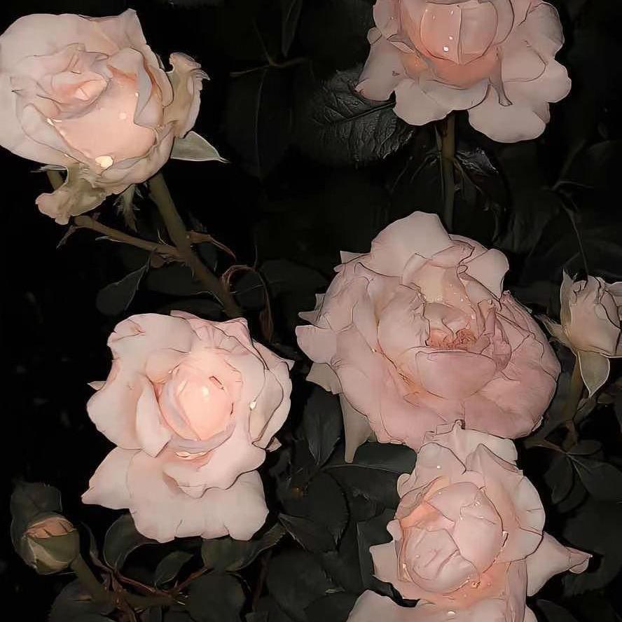 🥀.