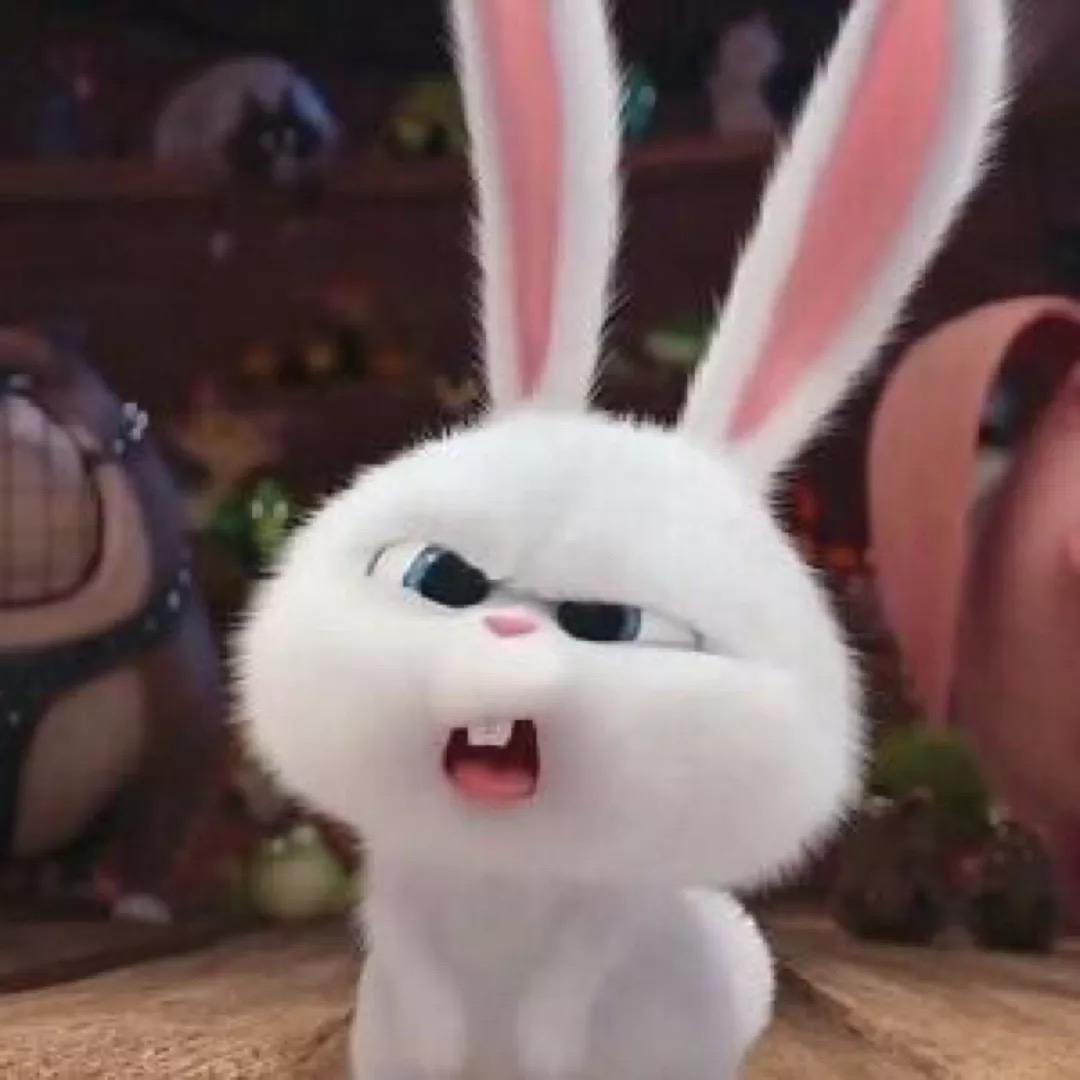 Black Rabbit