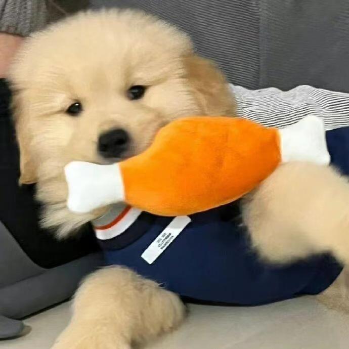 @¥¥¥¥¥¥¥狗带