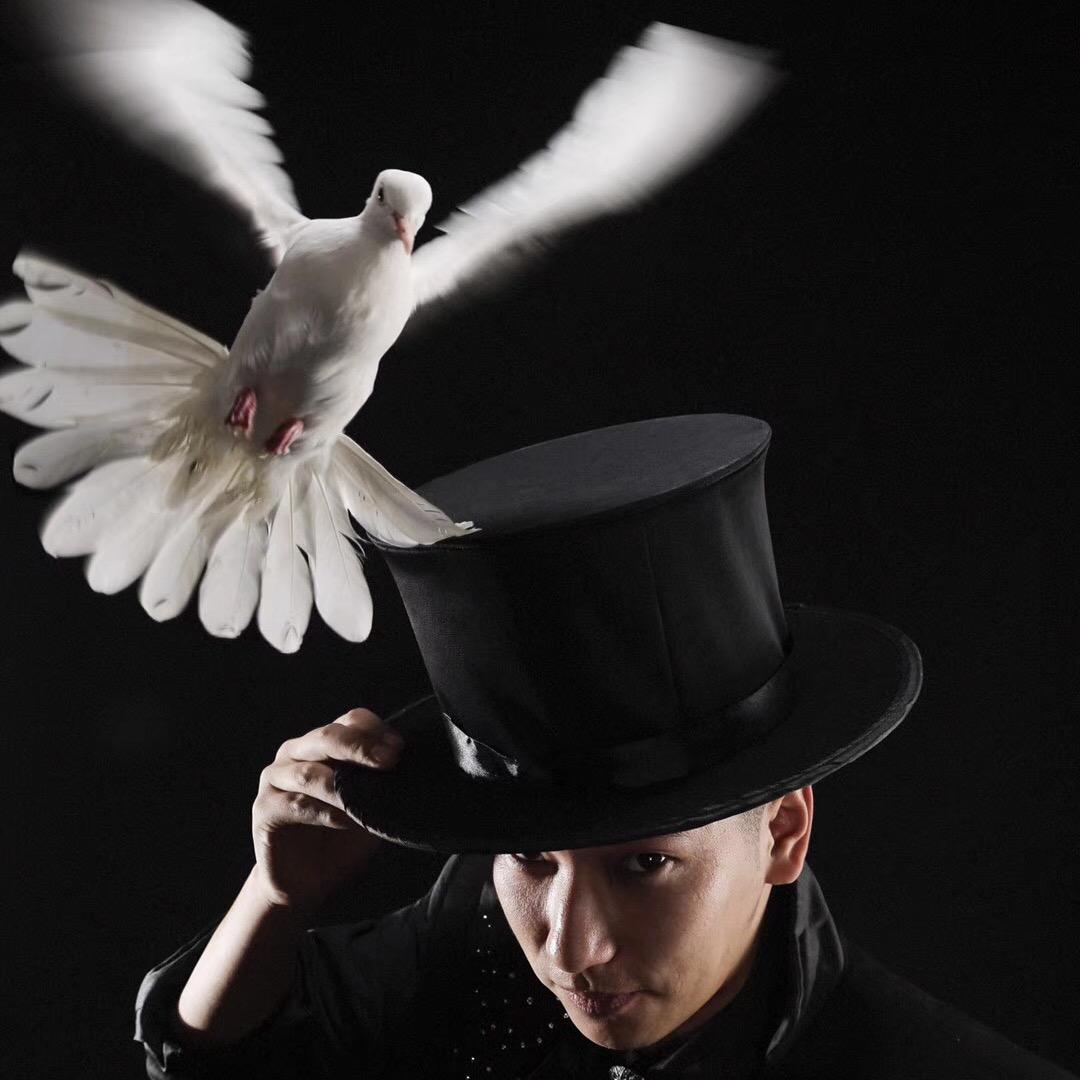 魔术师天涯~魔幻天空