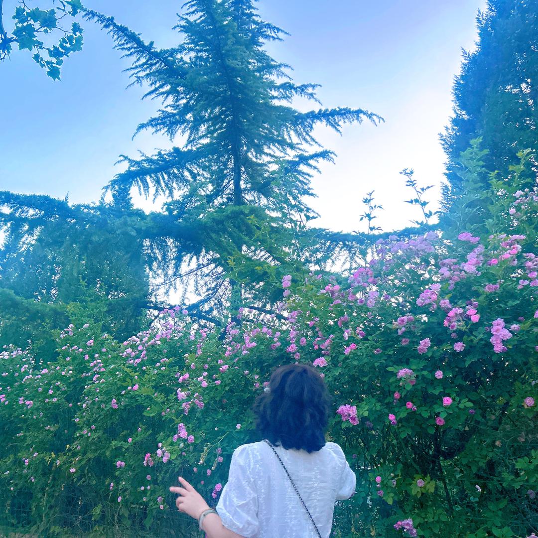 一根羽毛软装