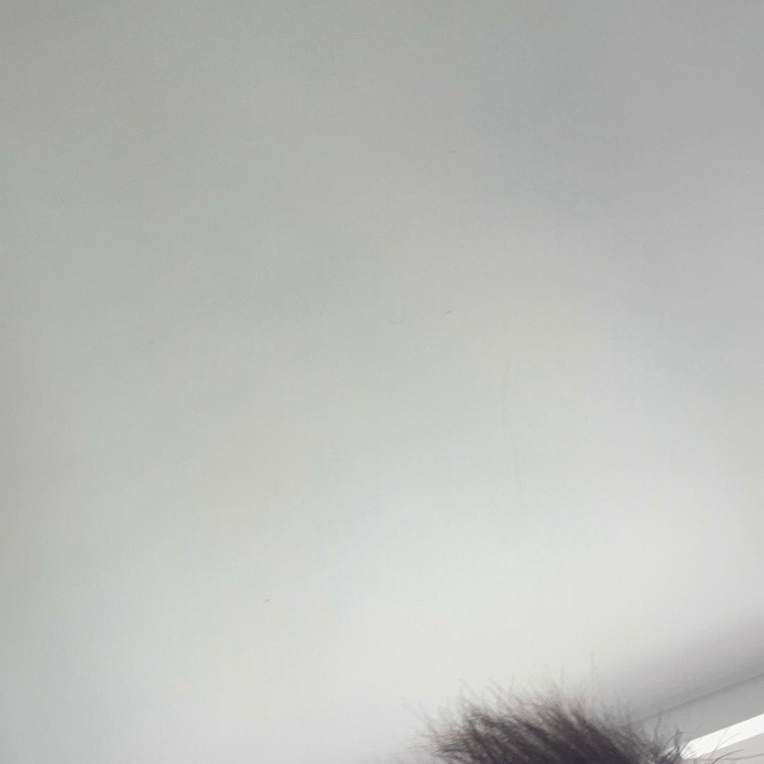 ¤小葱TUTU¤