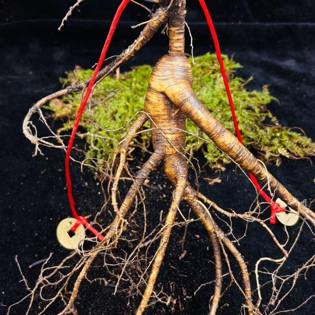 长白山玲珑特产