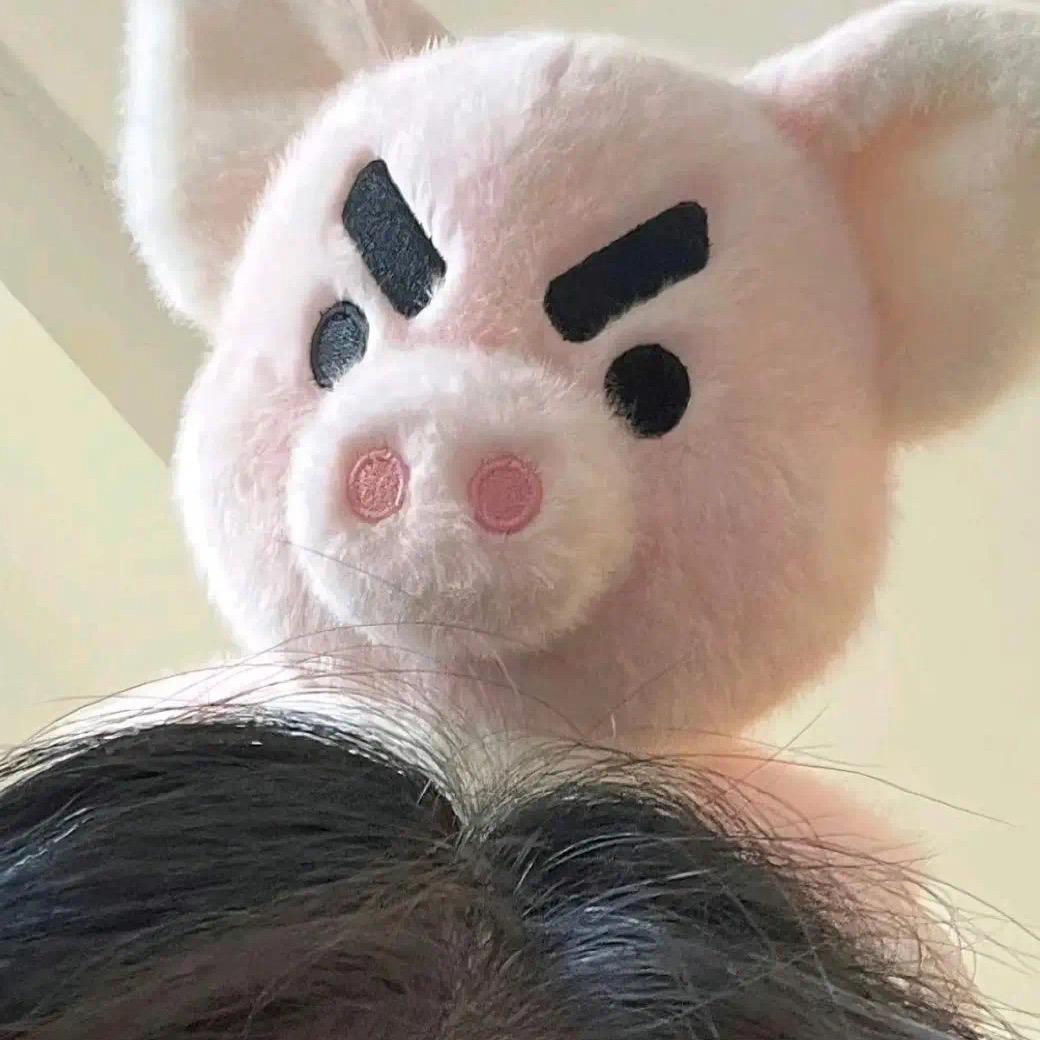 爱喝纯牛奶
