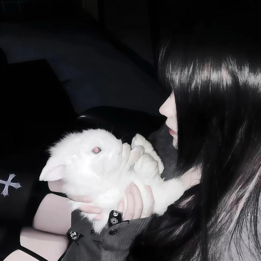 可颂🖤（无畏契约）