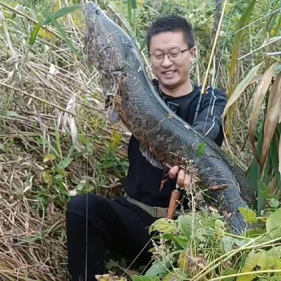 雷强老刘户外（路亚雷强）