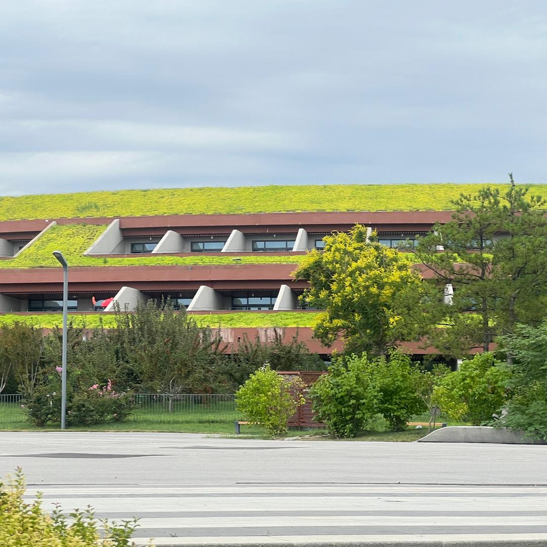 💕因你💕快乐💖