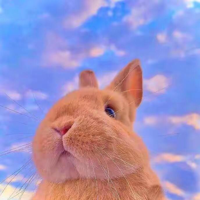 芝士西瓜🍉