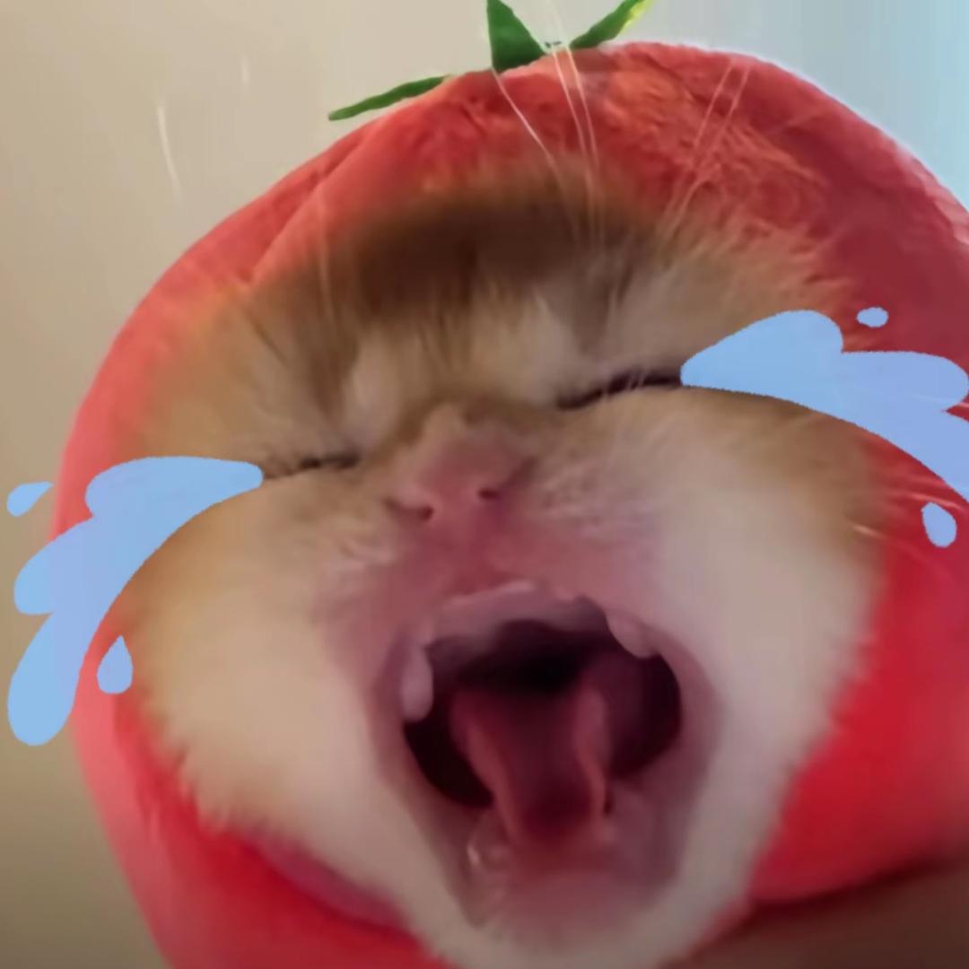 张emo