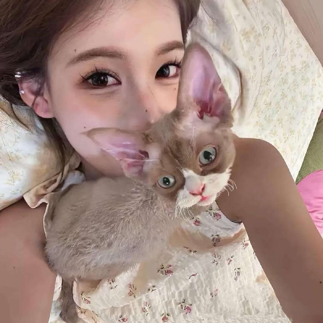 缘🐾
