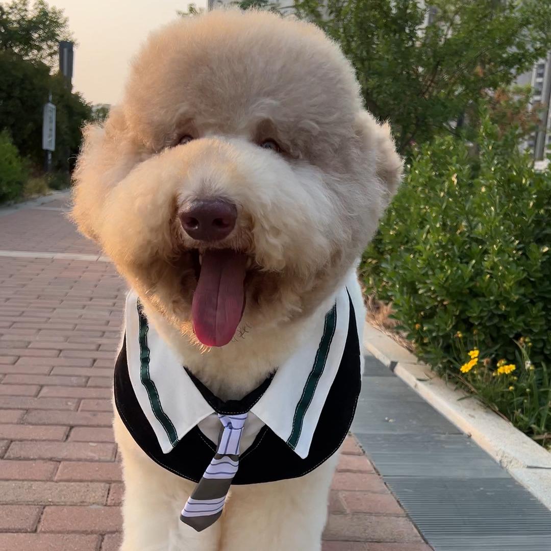 富贵的快乐生活