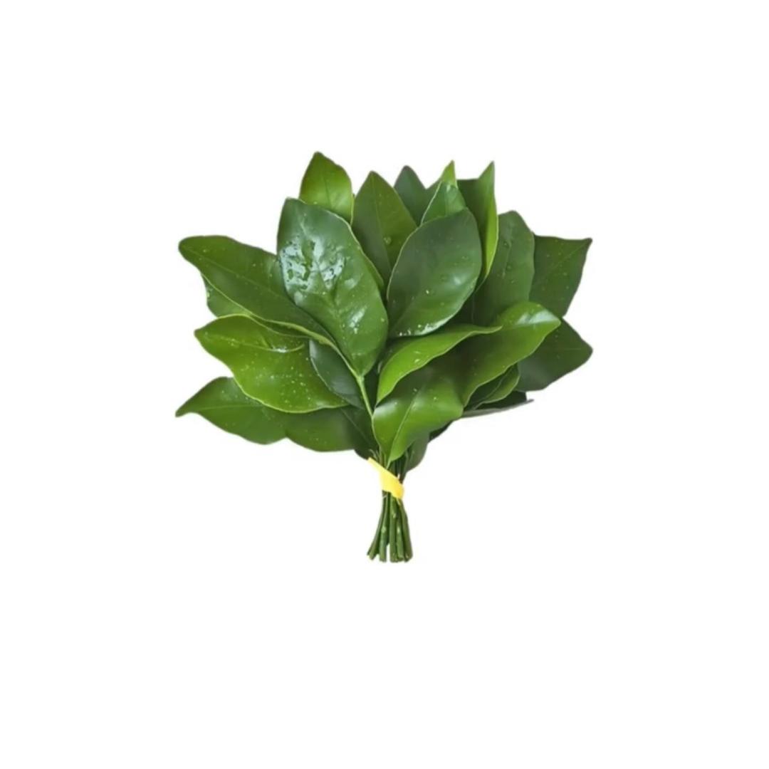 圈圈敏